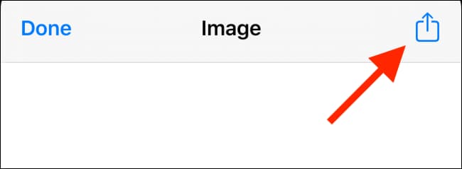 Convert Live Photos to Videos or GIFs 18
