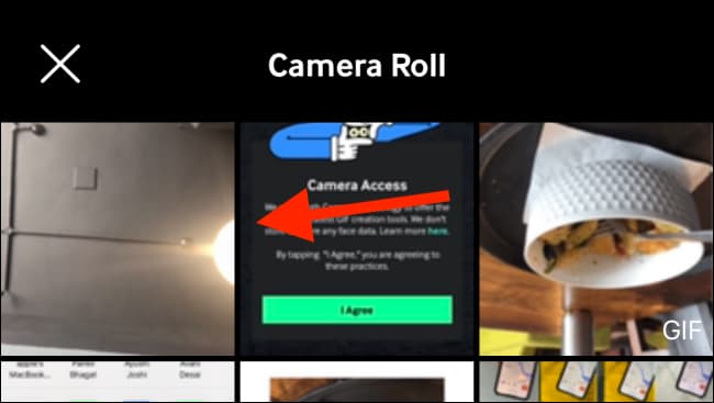 Convert Live Photos to Videos or GIFs 22