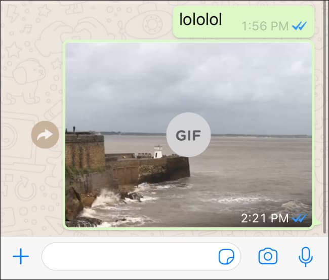 Convert Live Photos to Videos or GIFs 30