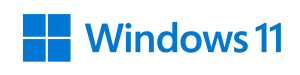 Windows 11
