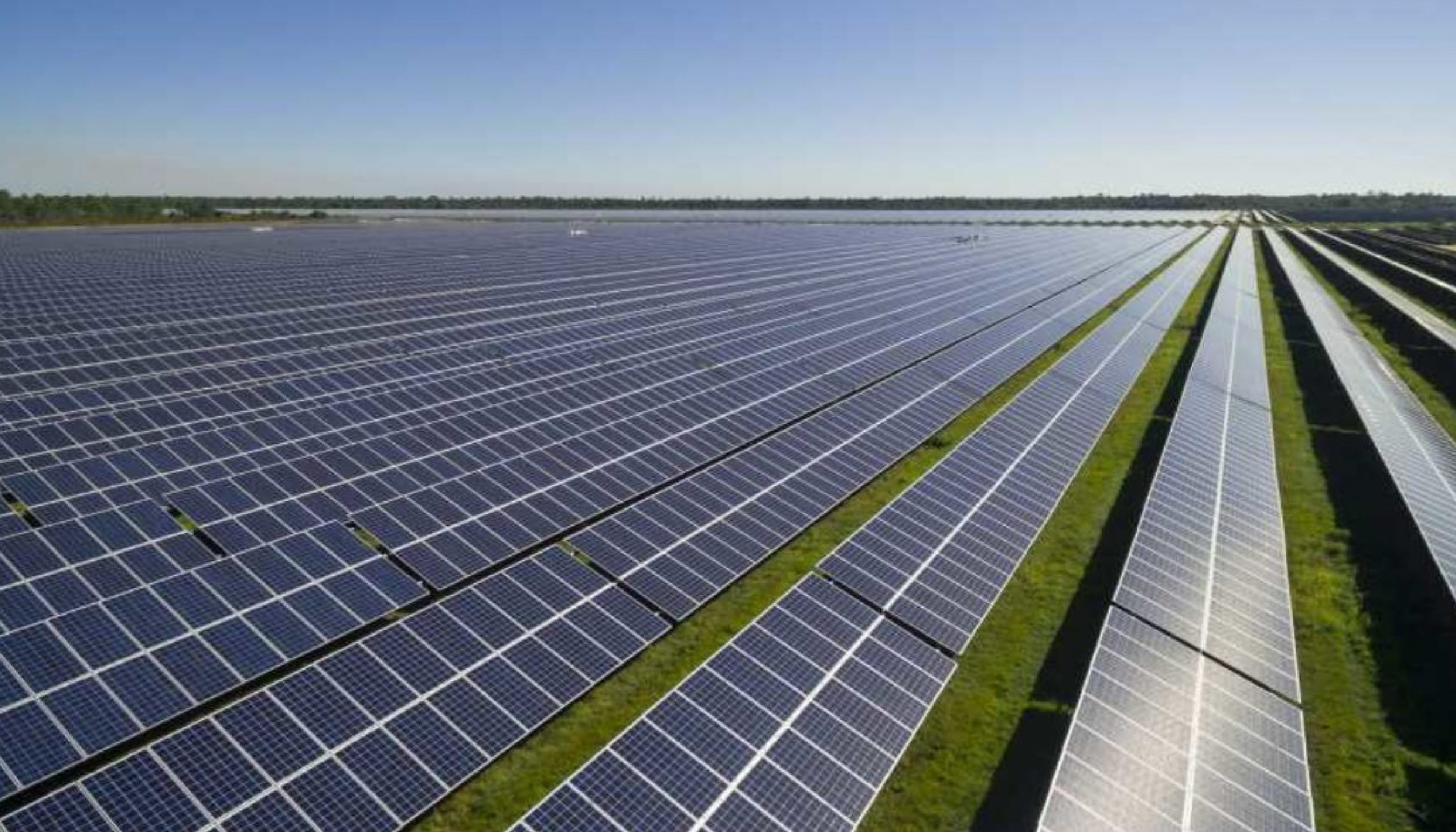 بيل غيتس يستثمر في مزرعة شمسية تستخدم الروبوتات