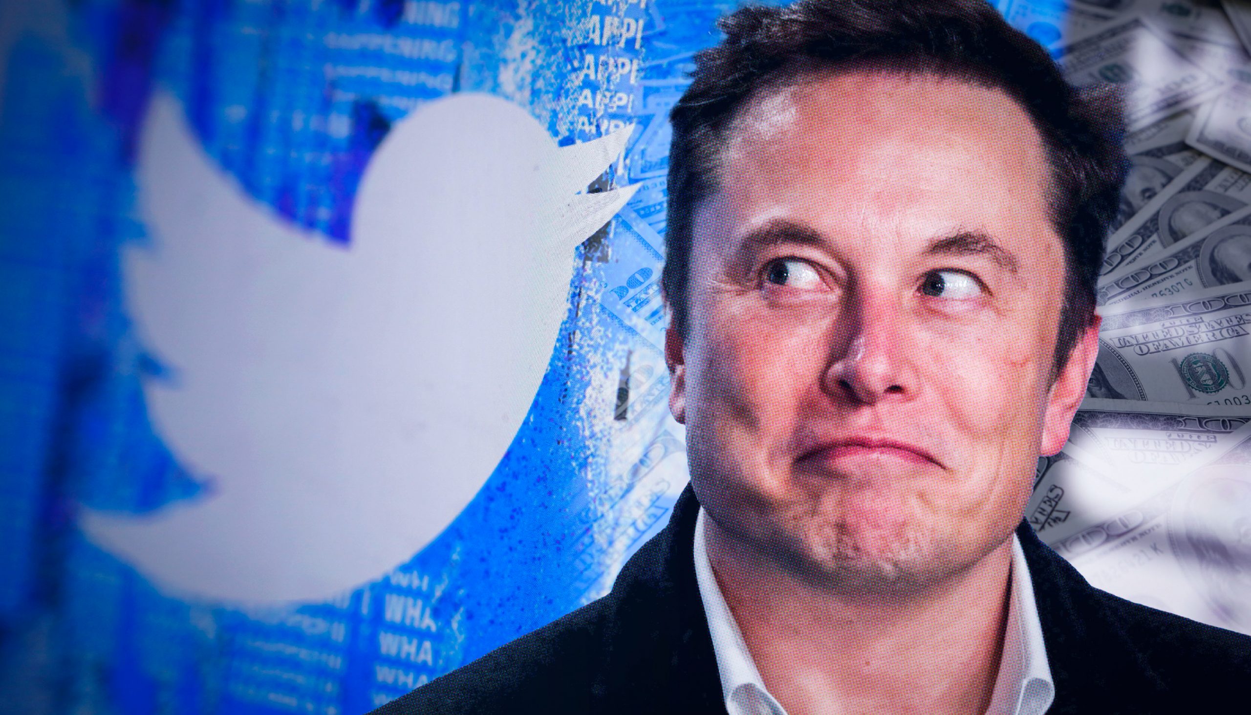 Twitter slowed hiring during the second quarter, twitter losses, twitter-Elon musk
