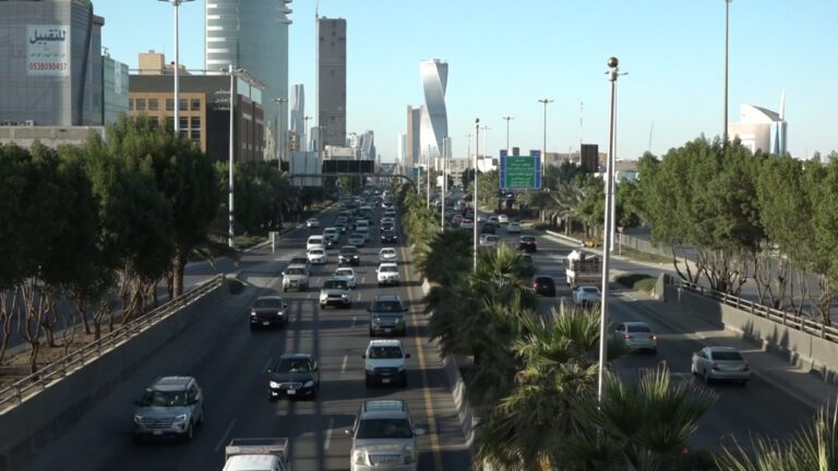 رسوم تجديد الاستمارة