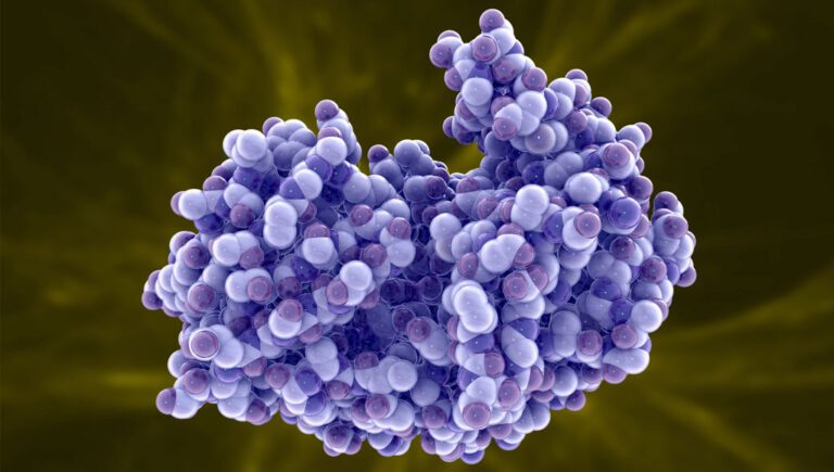 العلماء يكتشفون "إنزيم" يولد الكهرباء من الهواء فقط كمصدر نظيف للطاقة