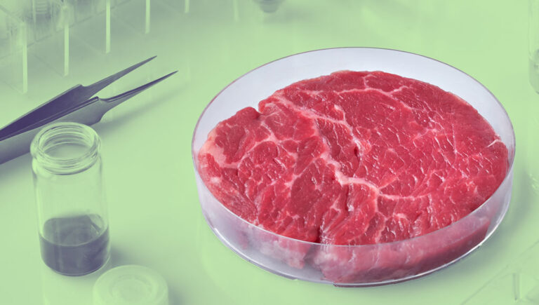 الولايات المتحدة ترخص بيع اللحوم المصنوعة في المختبر دون ذبح الحيوانات