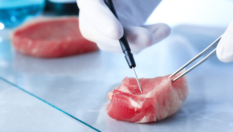 إيطاليا تصبح أول دولة في العالم تحظر اللحوم المصنعة في المخابر