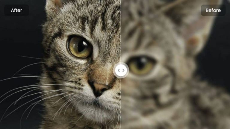 افضل 5 مواقع تحسين جودة الصور بالذكاء الإصطناعي في 2024