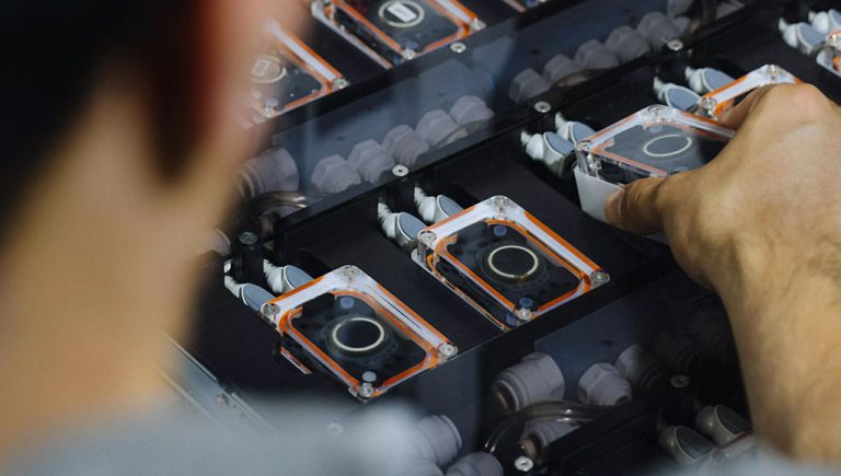 أول شريحة دماغية من Neuralink تتعطل في دماغ المريض بعد أسابيع فقط