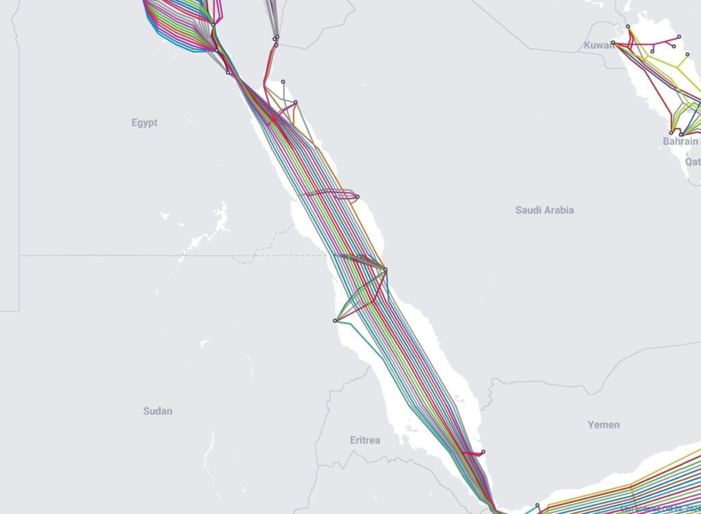 الكلابلات البحرية في البحر الأحمر