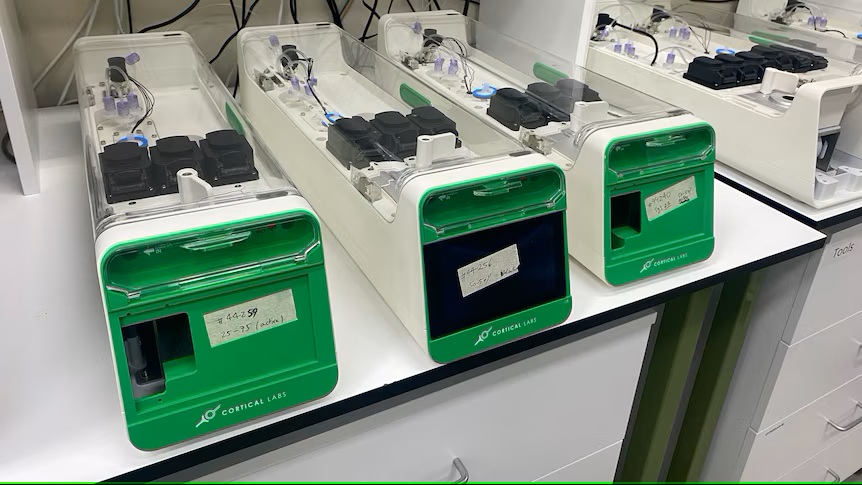 دماغ بشري على شريحة إلكترونية.. شركة تعلن عن إنتاج أول كمبيوتر بيولوجي في العالم