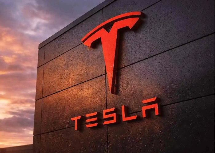 تسلا تستعد لدخول سباق السيارات الكهربائية منخفضة التكلفة بطراز جديد من فئة SUV 