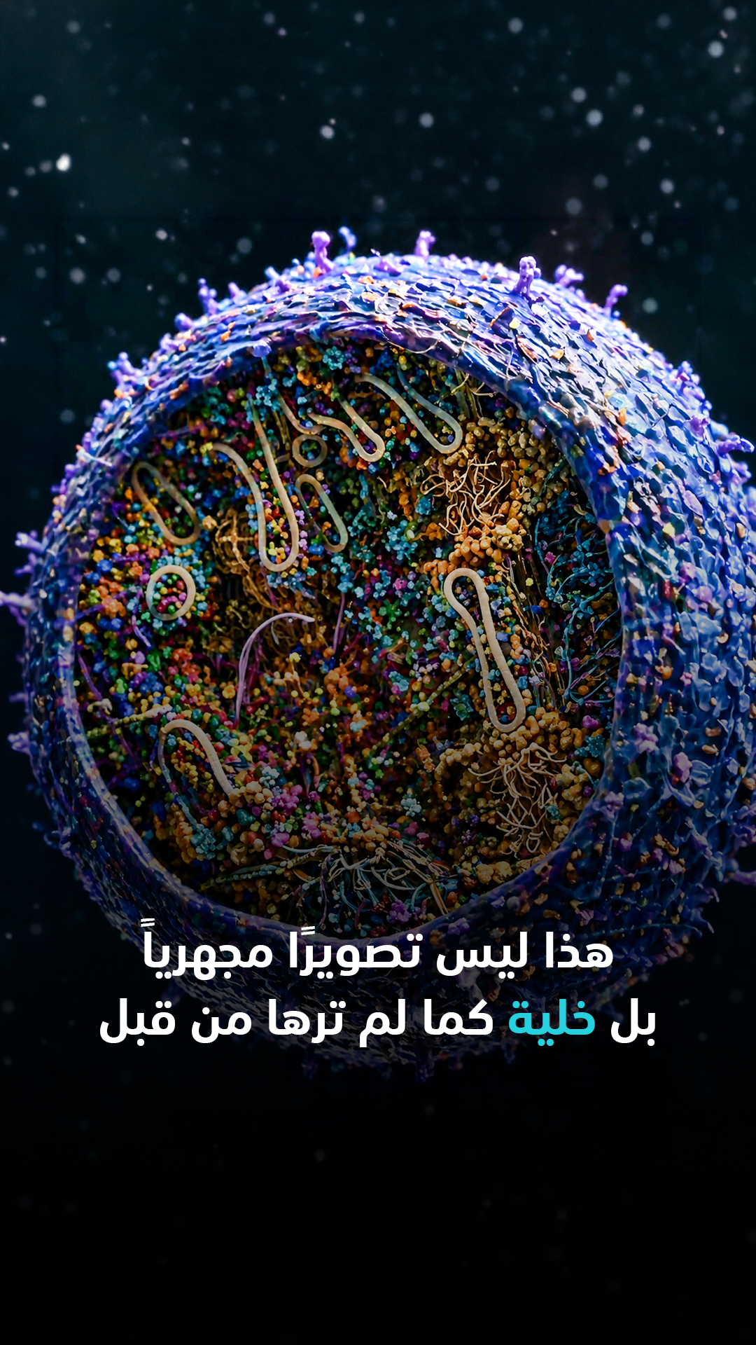 هل تساءلت يومًا كيف يبدو العالم داخل خلية واحدة؟