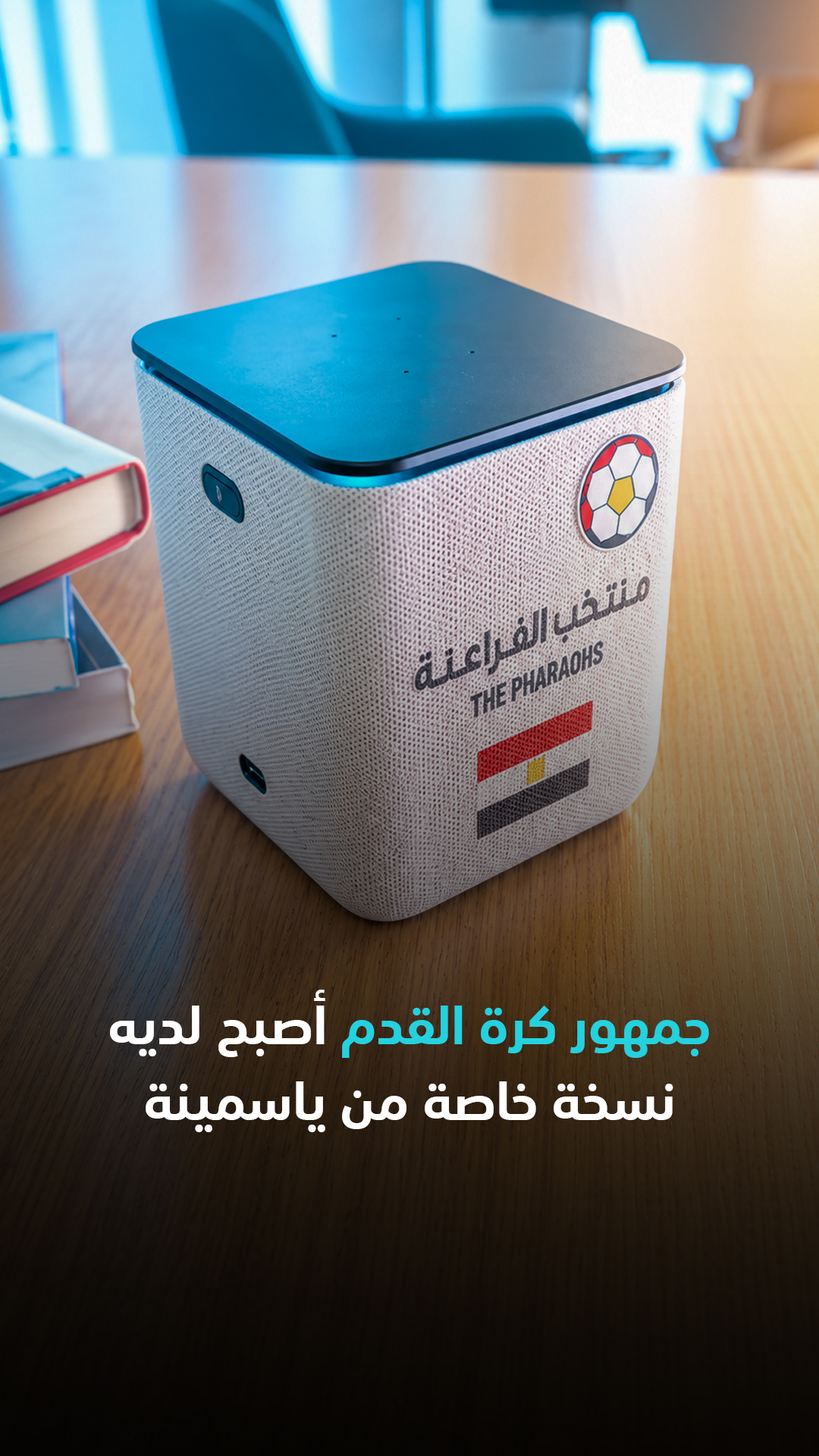 جمهور كرة القدم... أصبح لديه نسخة خاصة من ياسمينة